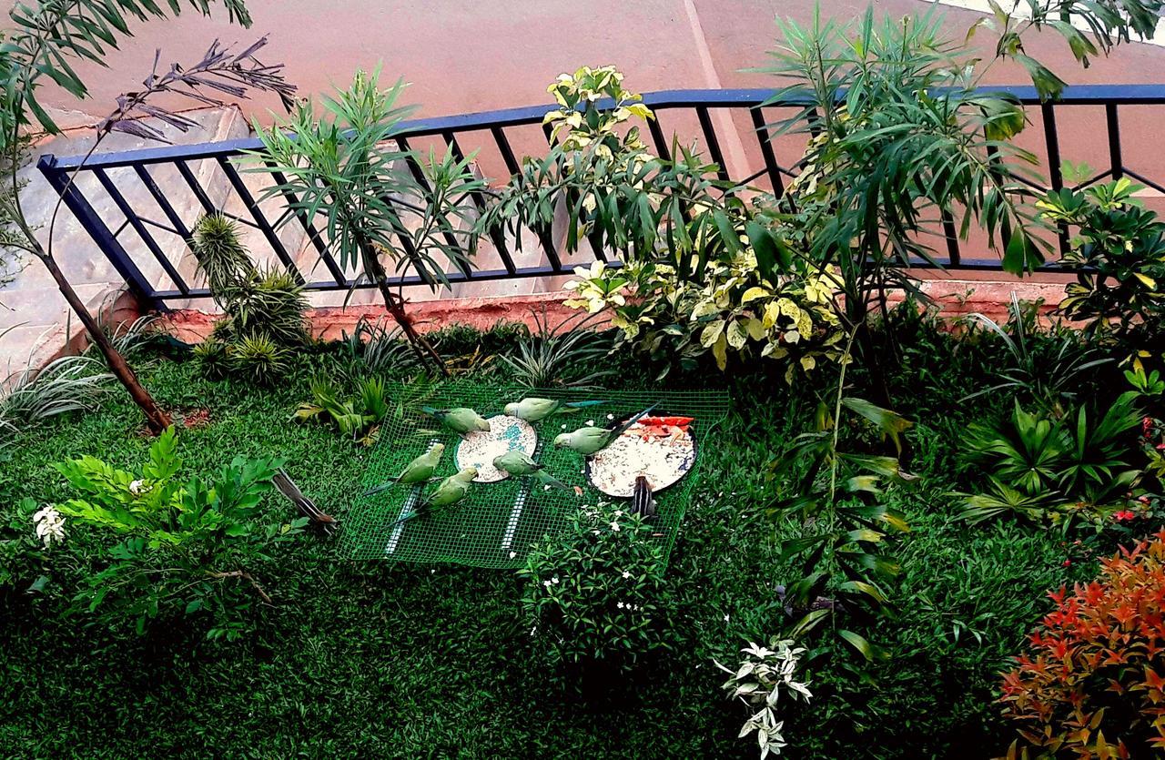 Saru Holiday Apartment - Up To 6 Guests Kandy Exterior photo
